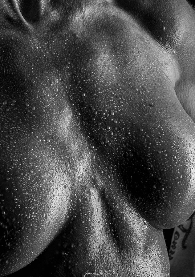 Studio del torso in bianco e nero su fondo scuro